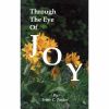 Through The Eye Of Joy