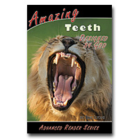 Amazing Teeth Designed By God