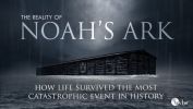 Reality Of Noah's Ark, The - DVD