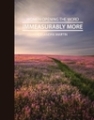 Immeasurably More - Women Opening The Word