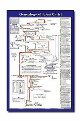 Geneology Of Jesus Christ - Wall Chart - Laminated