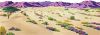 Felt - B Lukens - Large Desert Overlay