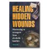 Healing Hidden Wounds: Ministering To Teenagers From Alcoholic Families