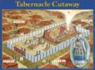 Tabernacle Cutaway - Wall Chart - Laminated